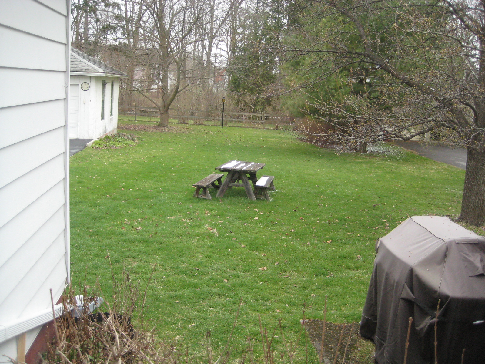 E Yard Pic