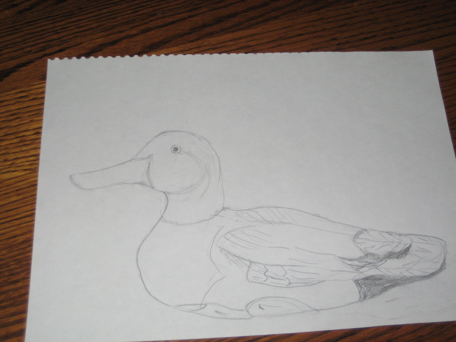 Ducky Pic