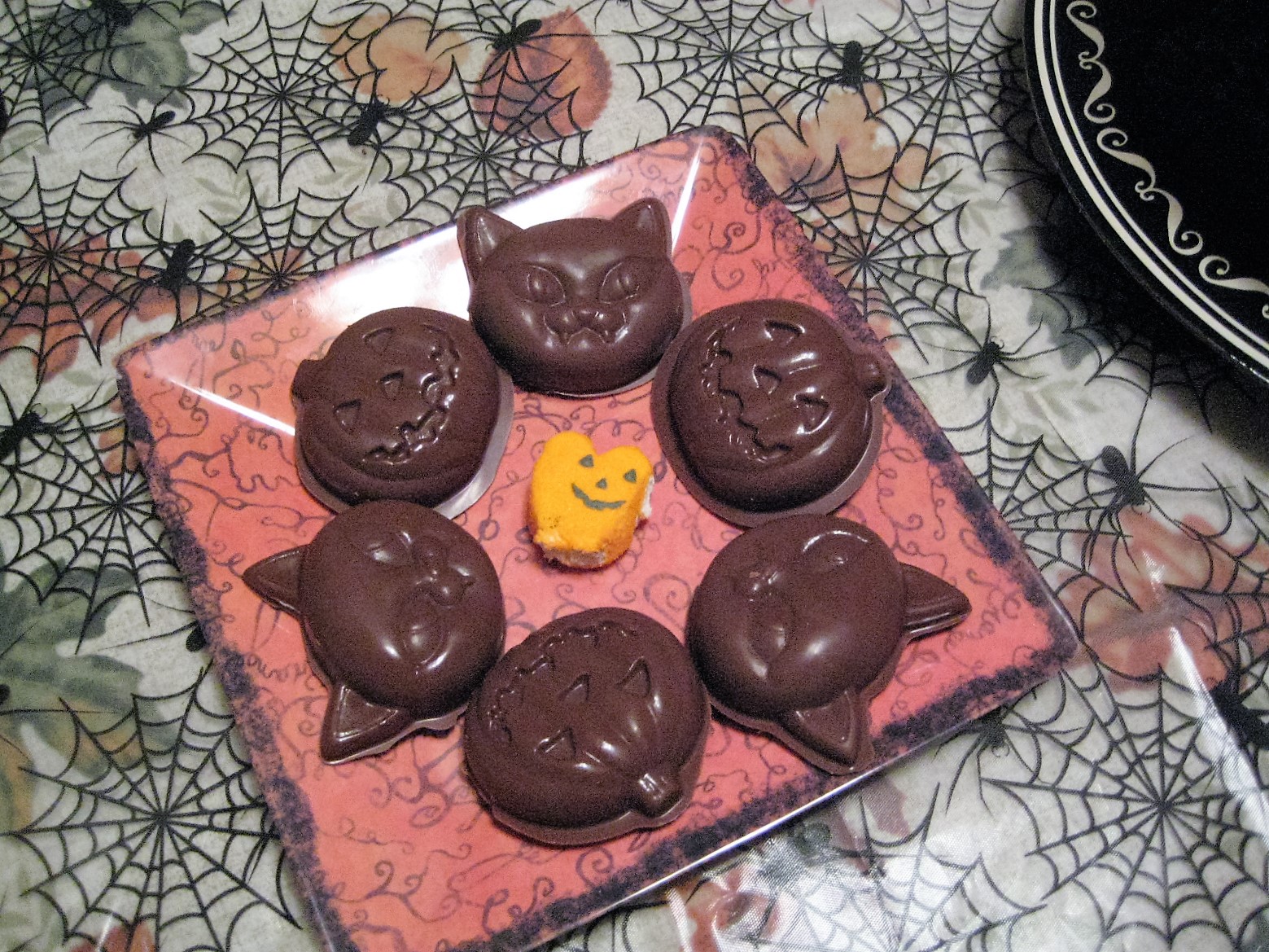 H Treats1 Pic