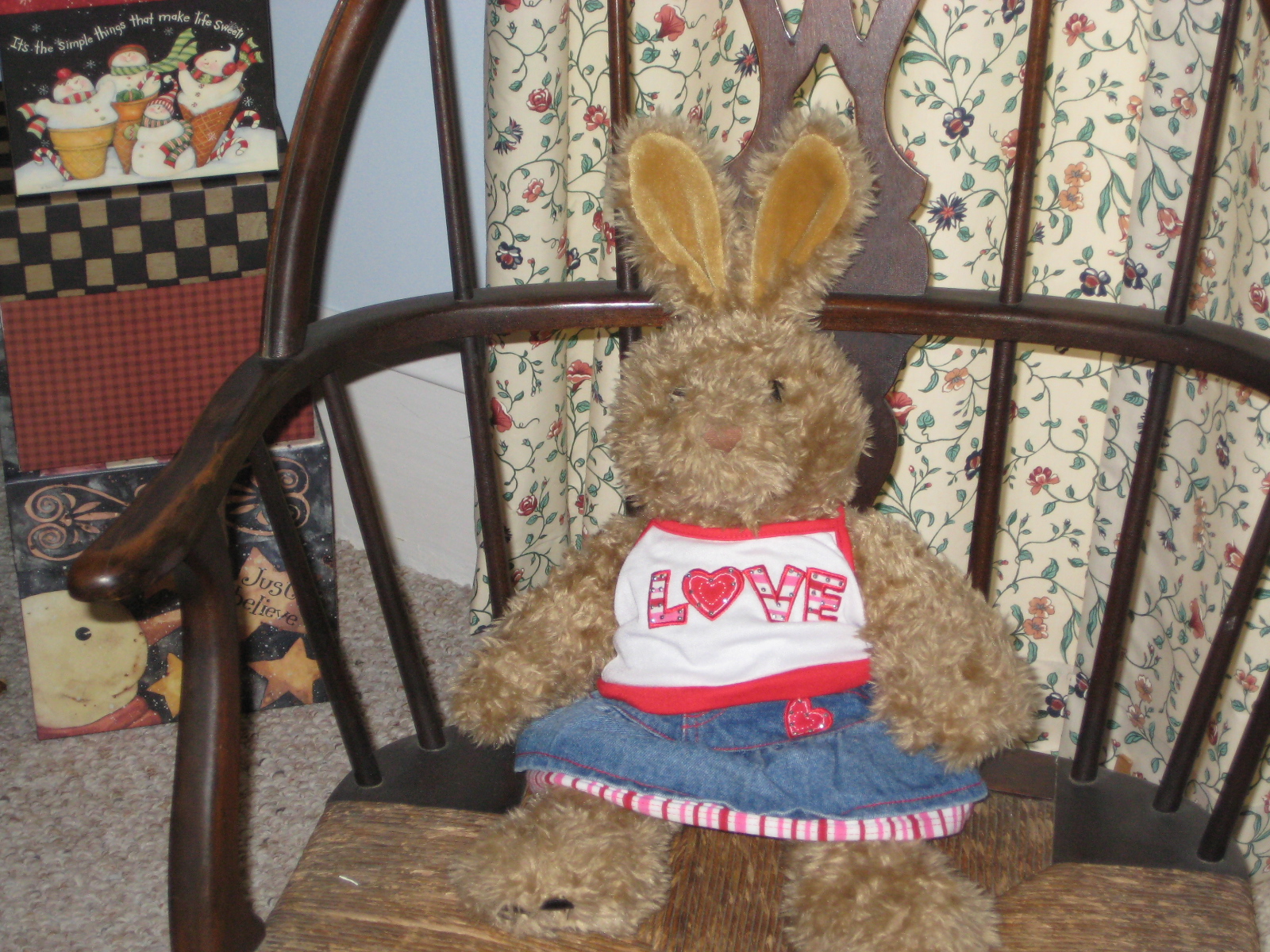V Bunny Pic