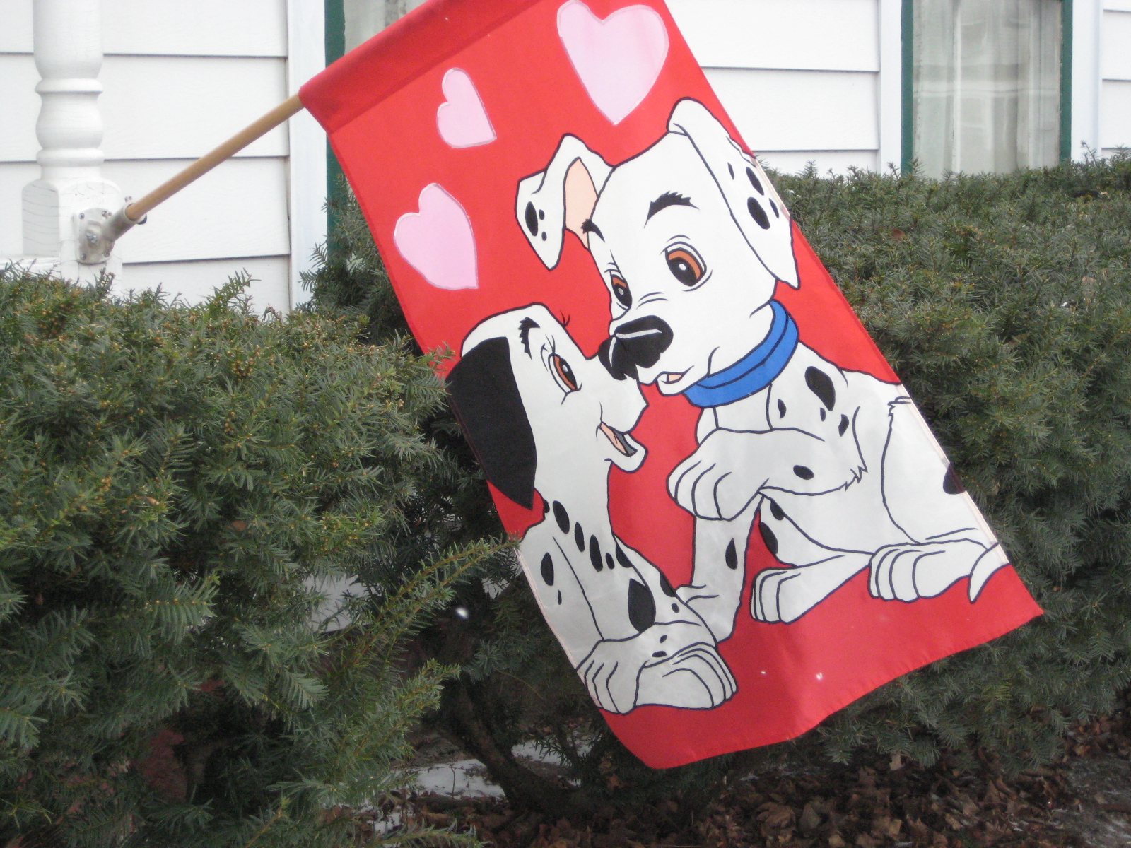 V Flag Pic